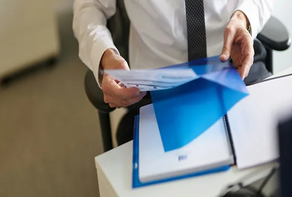 2. Auditorías Internas